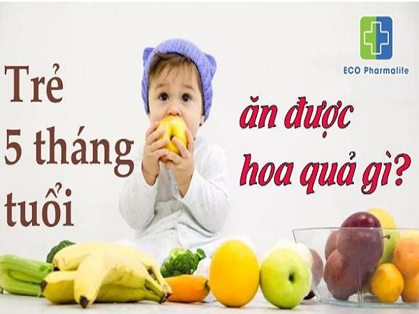 Trẻ Sơ Sinh 5 Tháng Tuổi Có Ăn Hoa Quả Được Chưa?