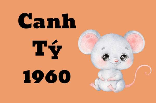 canh tý