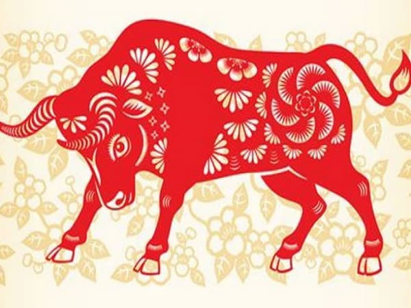 Tử vi tuổi Sửu ngày 14/3/2025