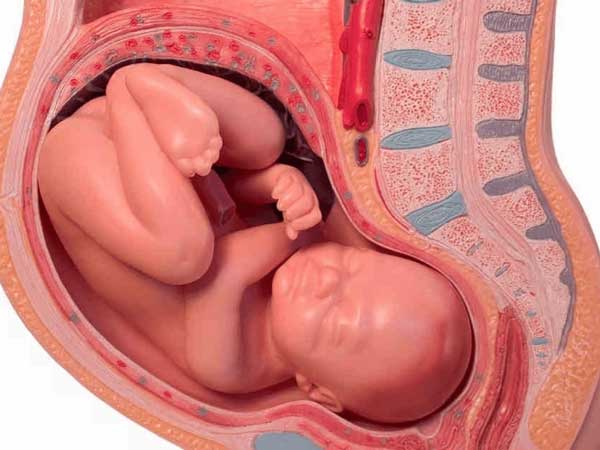 Thai 32 tuần đã quay đầu chưa?