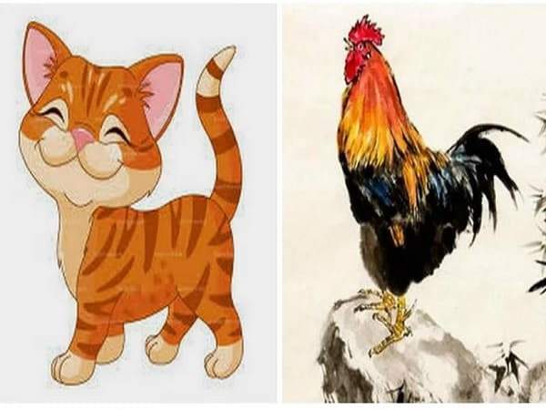 Tổng quan về tuổi Dậu và tuổi Mão