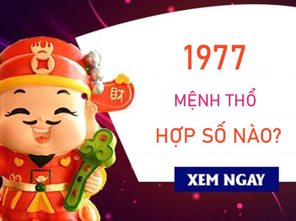 Mệnh Thổ 1977 hợp số nào tài lộc phú quý?