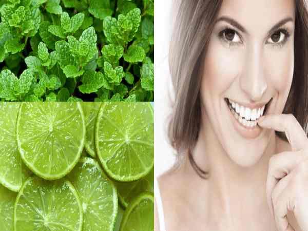 bài thuốc dân gian chữa đắng miệng bài thuốc dân gian chữa đắng miệng