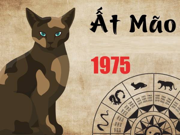 Con số tài lộc tuổi Ất Mão ngày 12/1/2026 theo tín hiệu giấc mơ